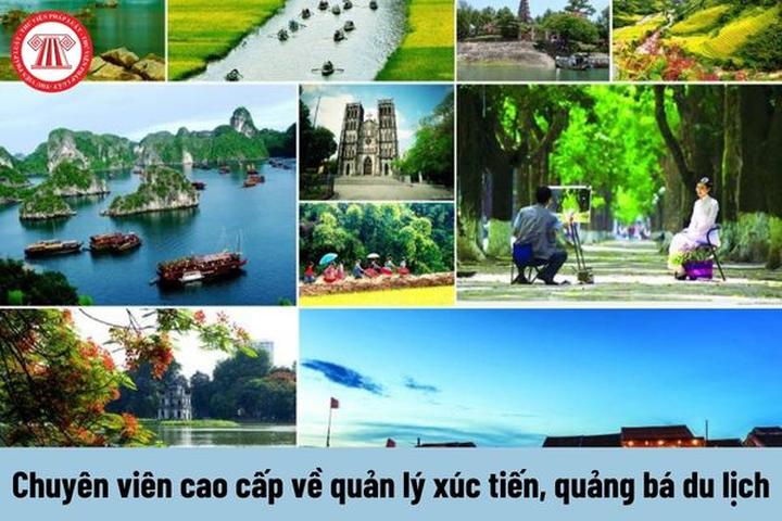 Khám phá hệ sinh thái dịch vụ video ngắn của Hotspot Matrix_Hotspot Matrix Short Video Automatic Sending System