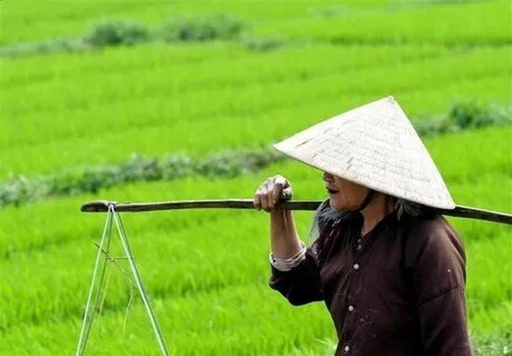Sự Bùng Nổ Của Video Ngắn và Trí Tuệ Nhân Tạo: Vai Trò Thiết Yếu Của Đào Tạo Kỹ Năng Sáng Tạo Nội Dung_Tối ưu hóa video YouTube cho SEO