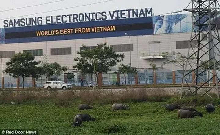Hotspot Matrix đồng hành cùng Ngày hội Ý tưởng Khởi nghiệp tại UEL_video đánh giá sản phẩm